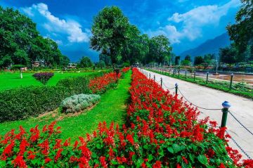 Best 5 Days Srinagar Trip Package by Paradise Port