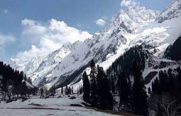 Best 5 Days Srinagar Trip Package by Paradise Port