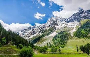 Best 5 Days Srinagar Trip Package by Paradise Port