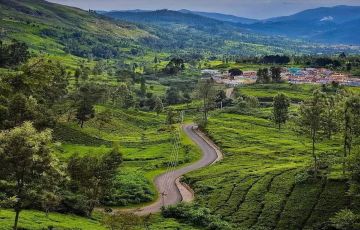 2 Days 1 Nights Ooty Trip Package