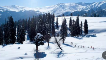 3 Days 2 Nights Gulmarg   Tour Package