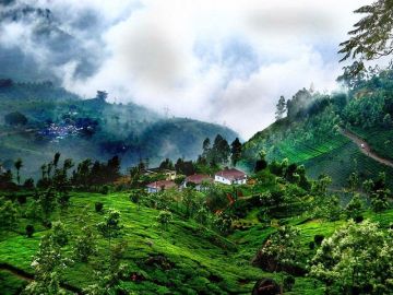 3 Days 2 Night Mysore & Coorg Tour Package