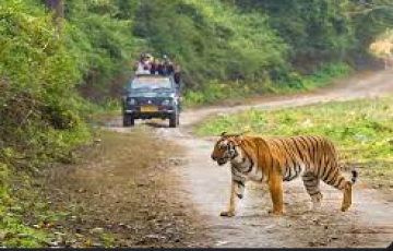 3 Days 2 Nights Nainital and Jim Corbett Tour Package