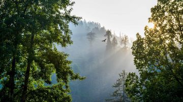 Embracing the Serenity Manali, Kasol and snow caped mountains of Tosh