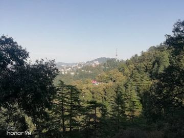 6 Days 5 Nights Shimla Tour Package by wild kiwi india tours