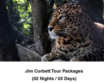 Jim Corbett Tour Package 2 Nights 3 Days