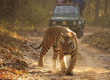 3 Days 2 Nights Jim Corbett Tour Package by Travels Bee