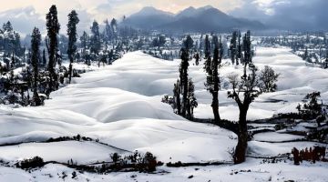 Romantic kashmir  4 Days 3 Nights Srinagar Tour Package