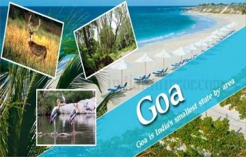 An Amazing Week In Goa 8 N & 9 D