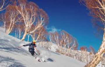 5 Days 4 Nights Srinagar with Gulmarg Honeymoon Holiday Package