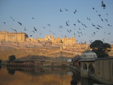 5 Days Jaipur, Pushkar and Udaipur Forest Vacation Package