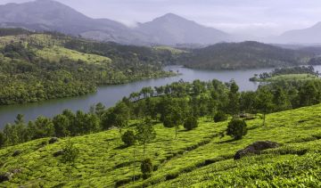 4 Days Munnar with Alleppey Family Vacation Package