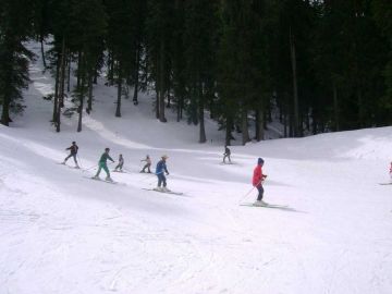 3 Nights 4 Days Shimla Tour Package