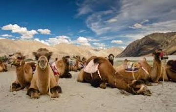 7 Days 6 Nights Nubra Rafting Holiday Package