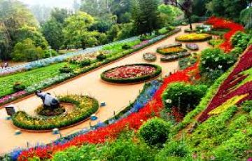 Family Getaway 3 Days Ooty to Ooty Coonoor Mudhumalai Pykara Family Vacation Package