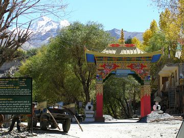 13 Days Chandigarh to Kaza Wildlife Vacation Package