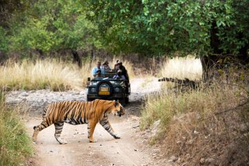 7 Days 6 Nights Delhi, Agra, Jaipur with Ranthambhore Vacation Package