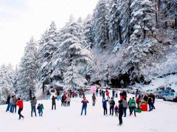 Beautiful 4 Days 3 Nights SHIMLA and CHAIL KUFRI Trip Package