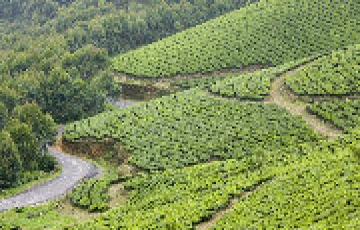 7 Days Munnar, Thekkady with Alleppey Culture Holiday Package