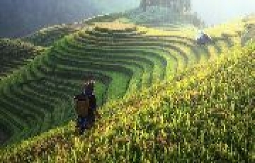 Pleasurable Darjeeling Offbeat Tour Package for 4 Days from Bagdogra