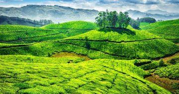 7 Days 6 Nights Kochi to Thekkady Trip Package