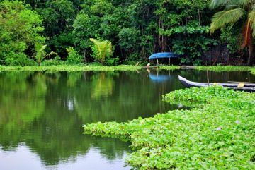 Experience WAYANAD Tour Package for 3 Days