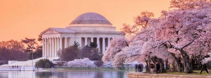 National Cherry Blossom Festival - March 20 - April 14, 2024