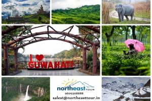 11 Days 10 Nights bomdila Holiday Package by Northeast Tour