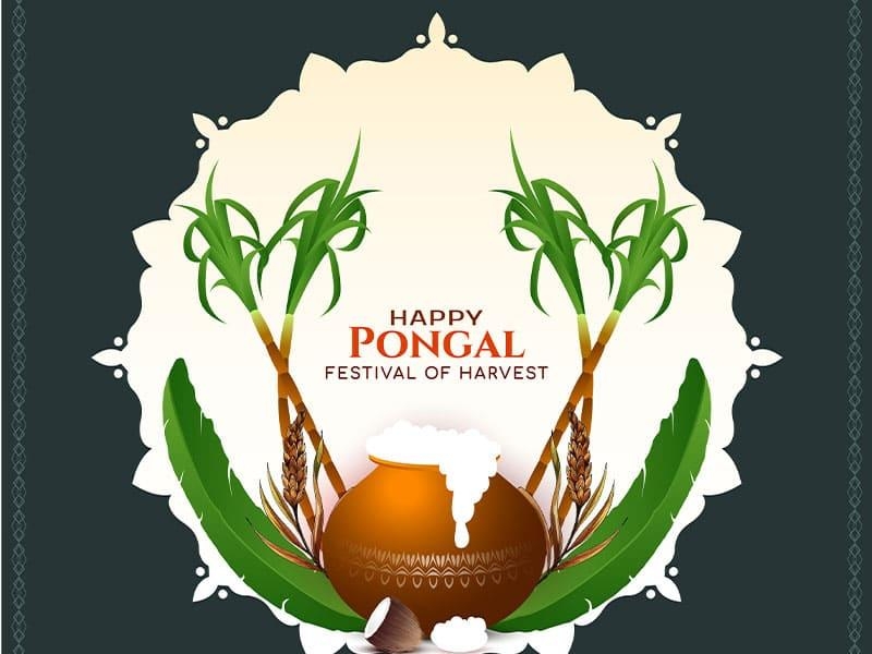 Pongal 2025, India Venue, Date & Photos