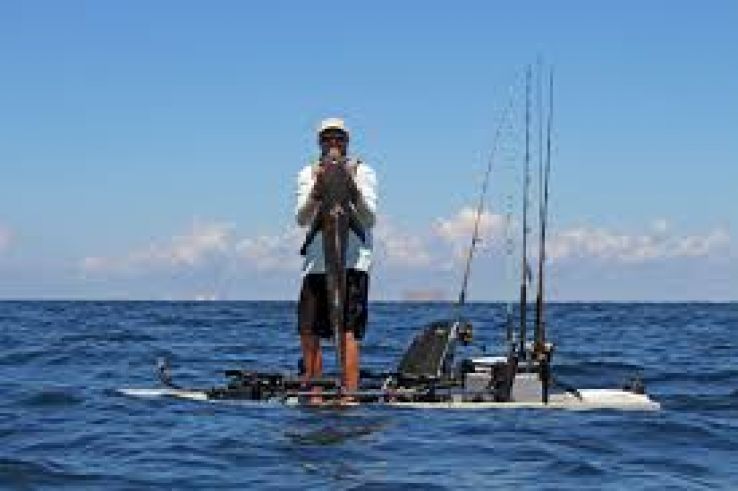 Cobia Trip Packages