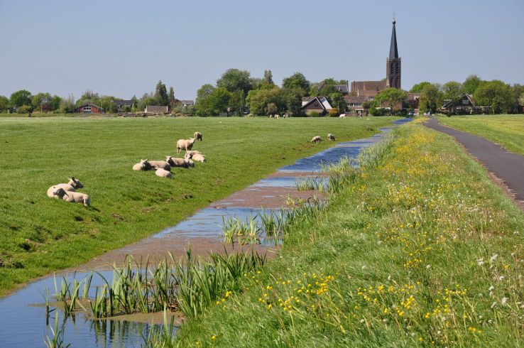 Zoeterwoude Trip Packages