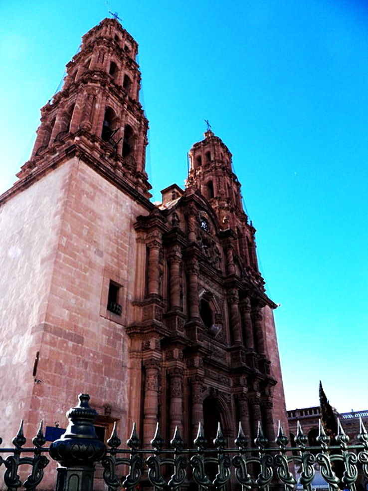 Chihuahua Trip Packages