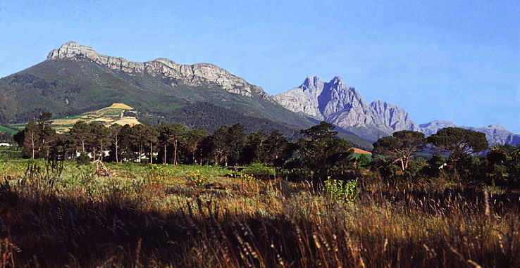 Stellenbosch Trip Packages