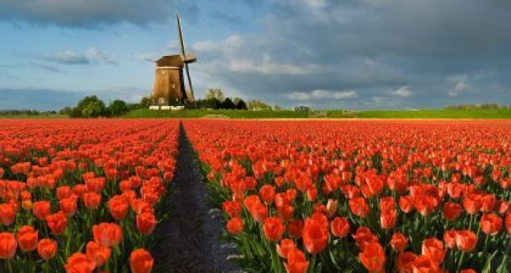 Noordwijkerhout Trip Packages