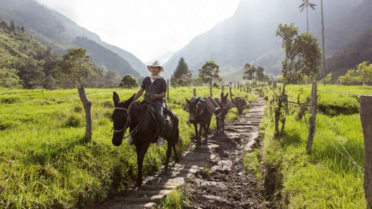 Cocora Trip Packages