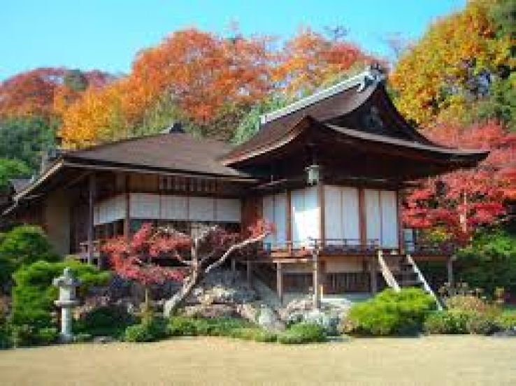 Okuchi Trip Packages