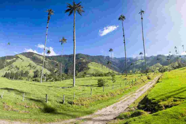 Cocora Trip Packages