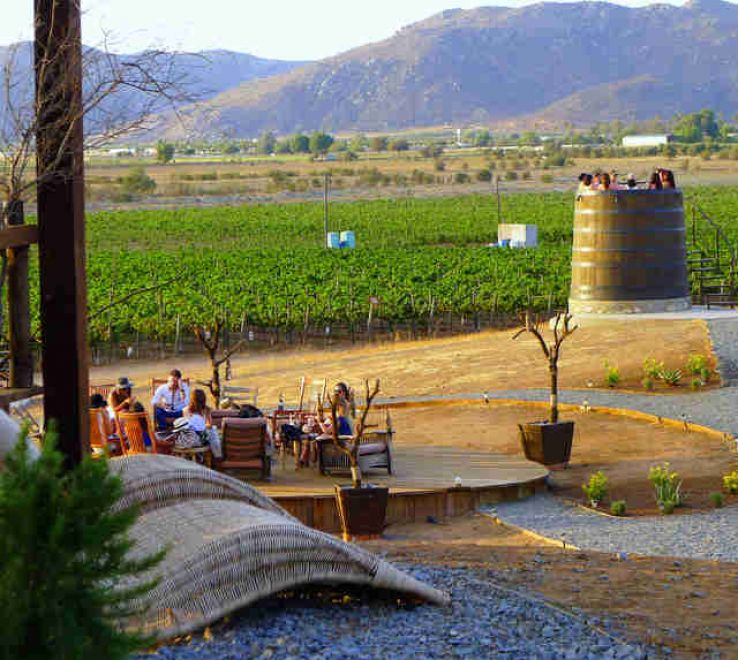 Valle de Guadalupe Trip Packages