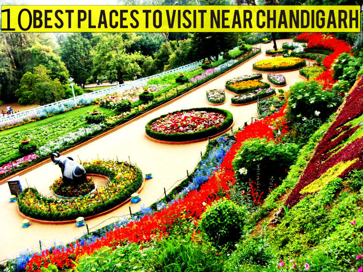 Top 5 Places to visit in Chandigarh - North India