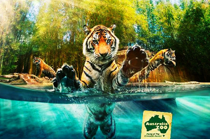 7 Best Zoos Around The World - Hello Travel Buzz