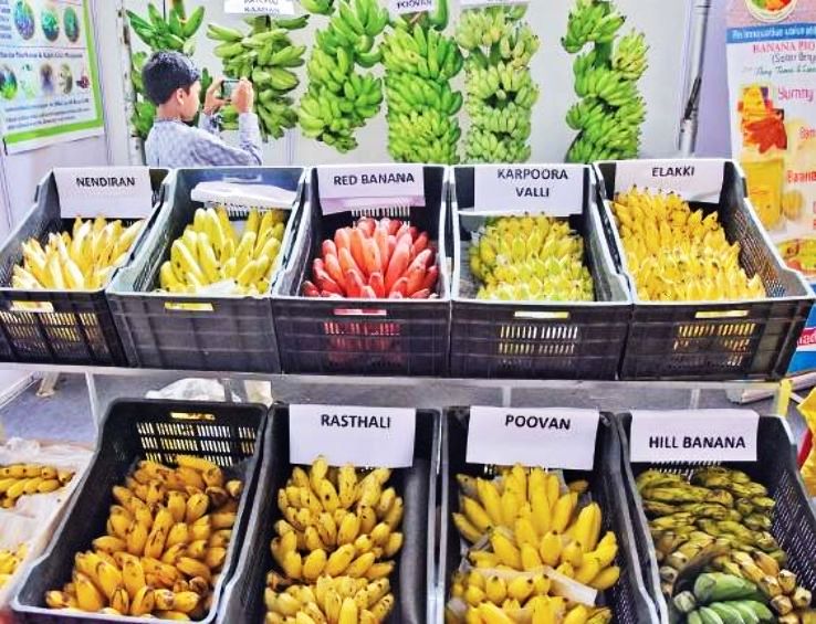 10 MustVisit Festivals That Celebrate India s Fruits & Veggies Hello