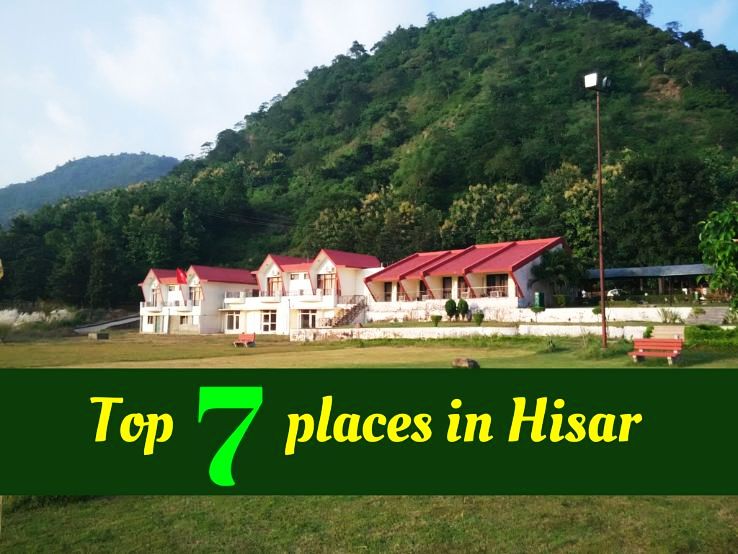 hisar tour and travels