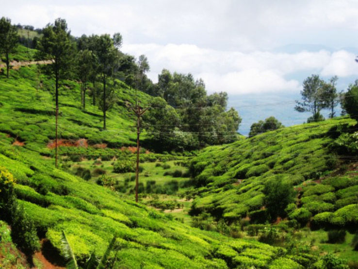 Move To Ooty To Take A Break This Summer - Hello Travel Buzz