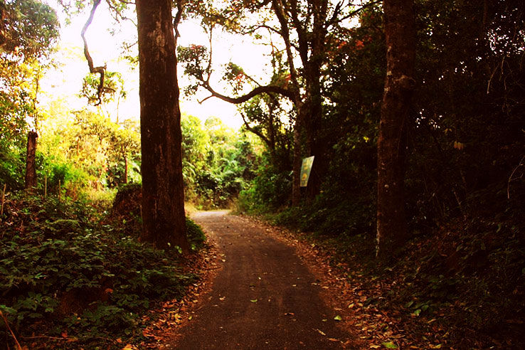 Kodagu