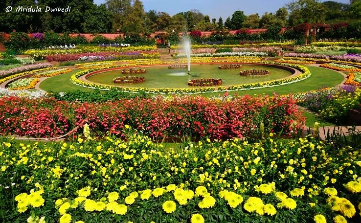 10 Mughal Gardens In India Worth A Visit - Hello Travel Buzz