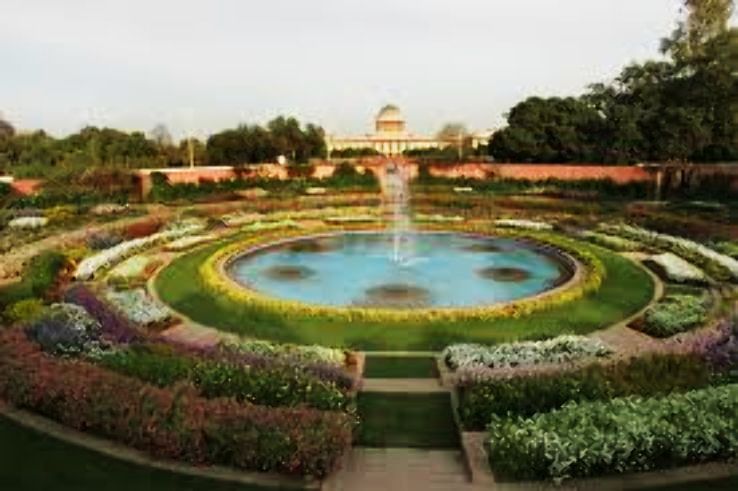 Top 5 Gardens To Visit In India - Hello Travel Buzz