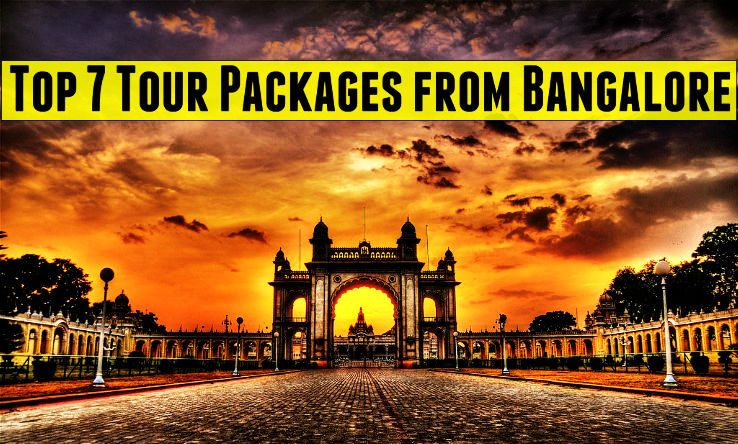 world tour package from bangalore price