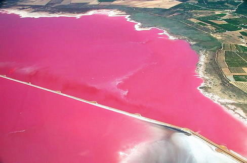 10 Naturally Pink Lakes