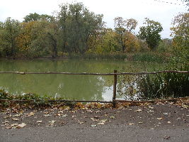 Botanical Garden of Samara State University