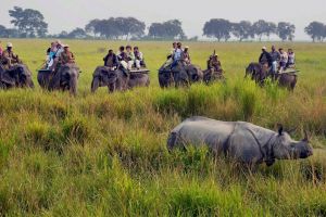 Best of 6 Days 5 Nights Guwahati Shillong Kaziranga Tour Package